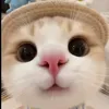thuog_04