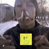 pipo_ppl