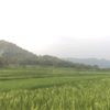 unkwonb