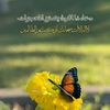 user556835012