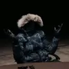 tnt_roltik