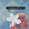 sonaarshad8