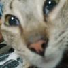 bruno_jurado17
