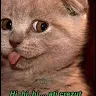 tonyalin0