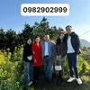 user49cpujjato