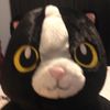 crayoncat16