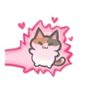 _mih.mynz_
