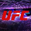 ufcufc338