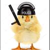 chickenpolicerpd