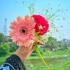 anychawdhary0.01