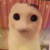poopiefinger