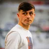 olt_313
