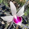 tung_truong73