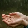 kapjsoleil