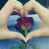 dowso1