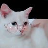 kittlesmittles
