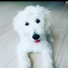 xxlnykxlxx