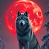 manzil_7684