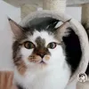 wundertuete_49