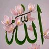 pirdawanshah550