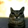 nshmyalfhmy