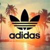 user5951878405648
