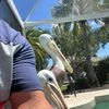 oscarperez5232