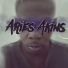 aries_akins