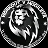 workout_v_mogileve