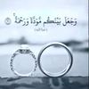 leylabtnesir062