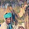 ah7__7ah