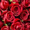 gurpreetsingh03460