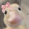 almaahaa1