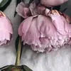 natlusa7