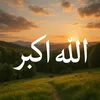 user3088434649529