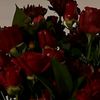 shahd.mahrous80