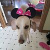 finn_mclafferty