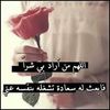 ommohamed339