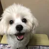 el_kun_el_kun