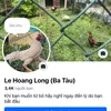 hoang.long_2608