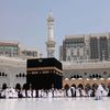 monahamdy850