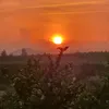 cauhai_89.cd