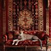 acinonyx8_