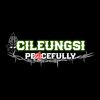 cileungsi_peacefully
