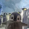 yk_0988