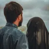 al_313_s