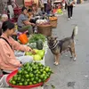 Thông minh 🇻🇳