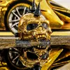 hidra_9