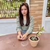 puntitaduangkeo