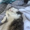 max_kappel